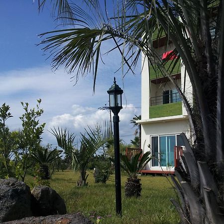 Jeju Bada Wi Olle Pension Seogwipo Exteriör bild