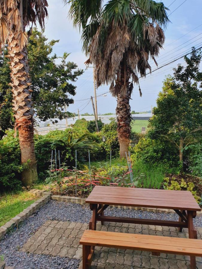 Jeju Bada Wi Olle Pension Seogwipo Exteriör bild