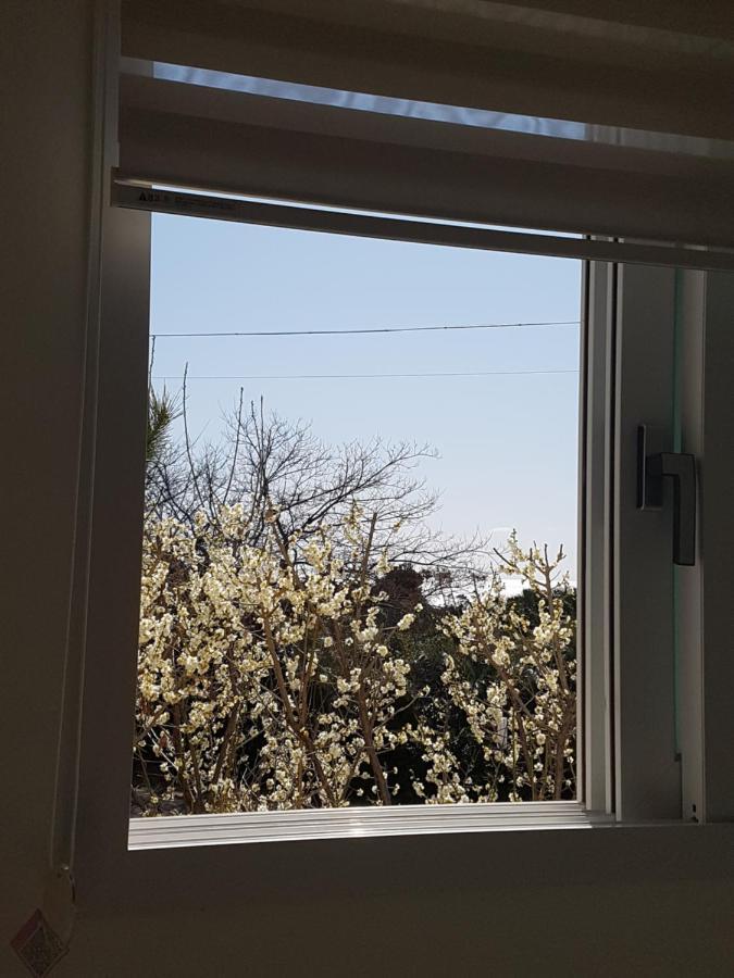 Jeju Bada Wi Olle Pension Seogwipo Exteriör bild